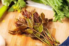 野菜虽美不可乱吃，春季常见野菜食用指南来了！图片