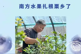 冷链北上变地头直采 南方水果扎根栗乡了图片