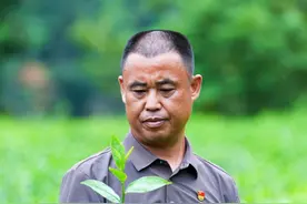 老兵创业纪 丨张万祥：用网络直播为牛儿山茶叶插上“云翅膀”图片