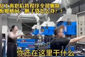 “法式”生活｜离职员工删除自编程序引热议，违法吗？图片