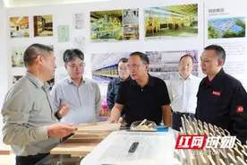 省发改委到新田调研重点项目建设工作图片