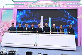 2025年海峡两岸（清流）樱花文化季在清流启动图片