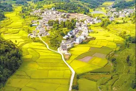 锚定“强富美” 绘就新画卷图片