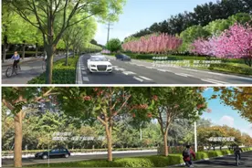 风景林荫路、城市画廊……今年副中心“花园城市”这样建图片