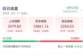板块涨幅榜第一，是它图片