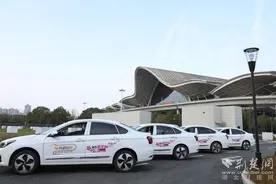 赏樱正当时 武汉交通运力保障车队助力最美赏花季图片