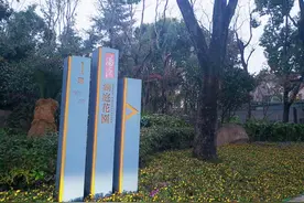 近亿元物业费支出成谜 上海豪宅业主向汤臣系公司追讨非法侵占图片