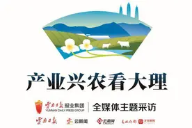 产业兴农看大理 | 一颗巍山香水柠檬的N种可能图片