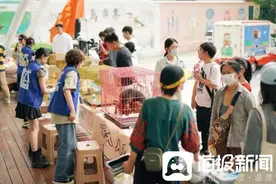 给流浪动物找一个温暖的家！济南志愿者20年照顾上百只流浪动物图片