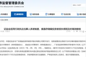 紫晶存储赔偿案“打样儿”：4家中介机构赔付投资者12.75亿，高达业务收入10倍多图片