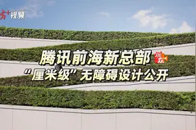 视频｜到访“企鹅岛”  畅行无烦恼图片