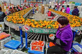 “智慧冷库”“智慧农场”即将上线！这家成都农业企业人勤春早开工忙图片