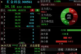 恐被实施退市风险警示，汇金科技超46万手封死跌停图片