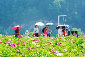 遂宁乡村旅游市场繁“花”似锦图片