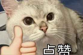 这几天深圳地铁4号线延长运营服务时间图片