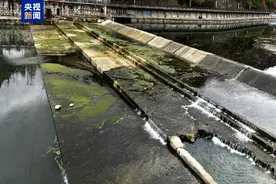 拦河建坝、私设排污口 贵州铜仁生态破坏问题突出图片