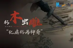 寻味中国丨朽木虫雕 “化腐朽为神奇”图片