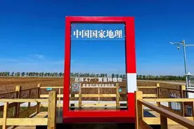 齐齐哈尔：挖掘资源优势 塑造农业品牌图片