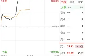 逾113万手封单，涨停！图片
