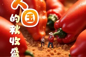 快看！小人国的秋收盛宴图片