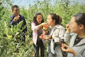 “瓜棚里吃瓜，格外甜！”图片