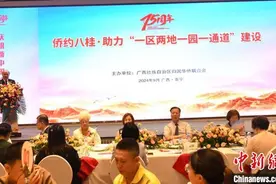 广西举办“侨约八桂—助力‘一区两地一园一通道’建设”活动图片