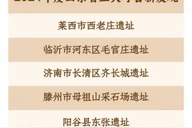 2024年度山东省五大考古新发现揭晓！图片