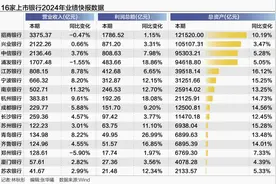 16家银行2024财报抢先看：资产稳步增长 两家股份行营收下降图片