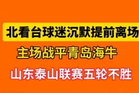 壹粉看球|山东泰山联赛五轮不胜，北看台球迷取消互动，提前离场图片