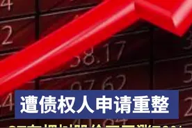 湘股风向标丨遭债权人申请重整，ST有棵树能翻身吗？图片