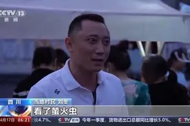 天上繁星，地上流萤，小小萤火虫点亮乡村夜经济图片