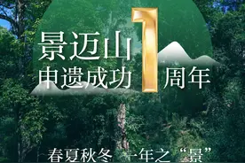 四季轮回，看一年之“景”——景迈山申遗成功一周年图片