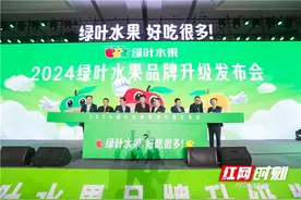 深耕厚植二十六年，启新赋能果业发展丨绿叶水果举办品牌升级发布会图片