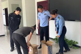保康：灰林鸮误闯站场 放生后回归自然图片