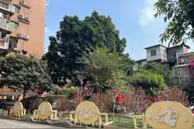 广州荔湾这个小区又“攒下了”一笔钱，街坊将共享治理成果图片