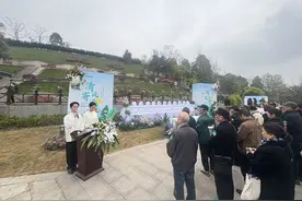 重庆举办“第六届公益安葬”清明活动图片