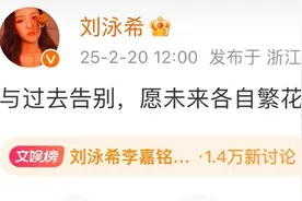 演员刘泳希、李嘉铭官宣离婚，曾因“没车没房仍双向奔赴”宣言引热议图片