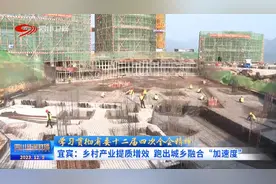 四川新闻联播丨宜宾：乡村产业提质增效 跑出城乡融合“加速度”图片