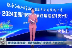 贵州制造丨塑造条件优势，做好承接产业转移“大文章”图片