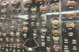 泉州鲤城，半城烟火半城仙图片