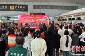 揭阳潮汕国际机场年旅客吞吐量首次突破800万人次图片