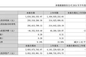 营收增长难掩利润下滑，单品依赖困扰承德露露图片