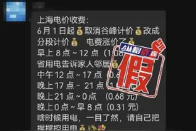 官方辟谣上海电价将涨价图片