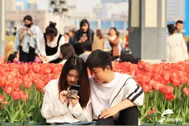 绚烂多彩惹人醉！济南泉城广场各色郁金香竞相绽放图片