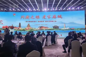 @川渝人，麻城邀你回老家寻根旅游图片