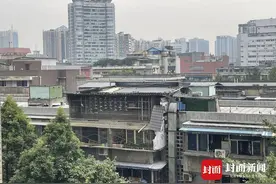 云投诉丨小区楼顶建鸽棚养信鸽扰民，居民质疑是违建 街道办：不属于图片