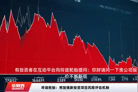 玲珑轮胎：将加强新投资项目风险评估机制
