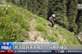 新疆天山中东部有多少种野生动植物？最新调查揭晓图片