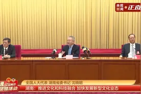聚焦两会·开放团组丨从“四个向”到“七个攻坚” 湖南高质量发展向“新”而行图片