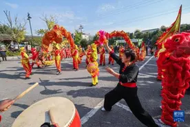 香榧之乡“香榧手工炒制大赛”迎丰收图片
